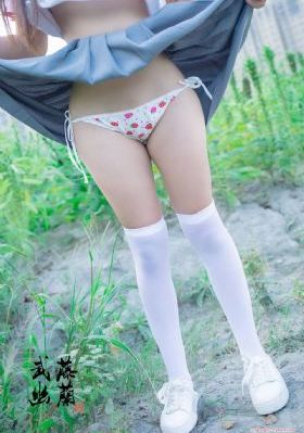 倚天屠龙记全集免费看